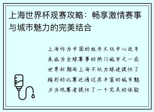 上海世界杯观赛攻略：畅享激情赛事与城市魅力的完美结合